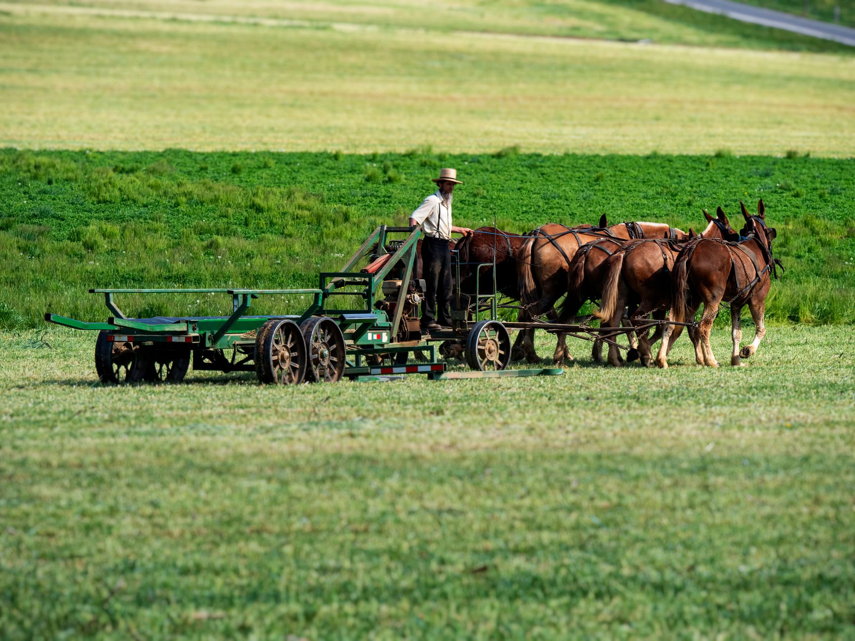 harness horses entering Bangor Raceway under clear morning light, officials checking race papers
