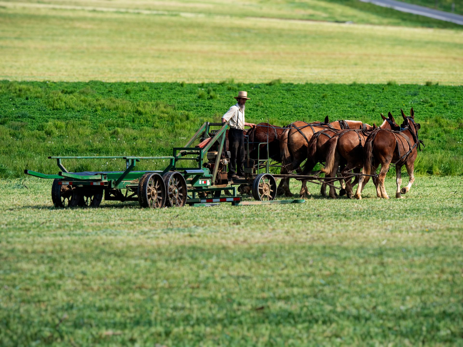 Farmer Working with Horses on Field