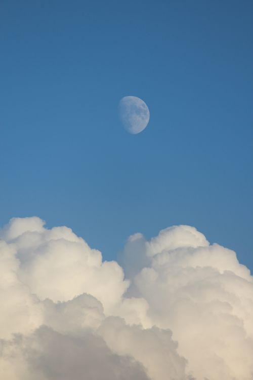 Free Serene image of the moon rising above fluffy white clouds and clear blue sky. Stock Photo