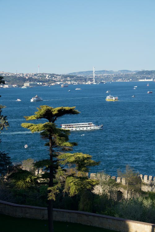 Ferries and Vessels Sailing in Istanbul