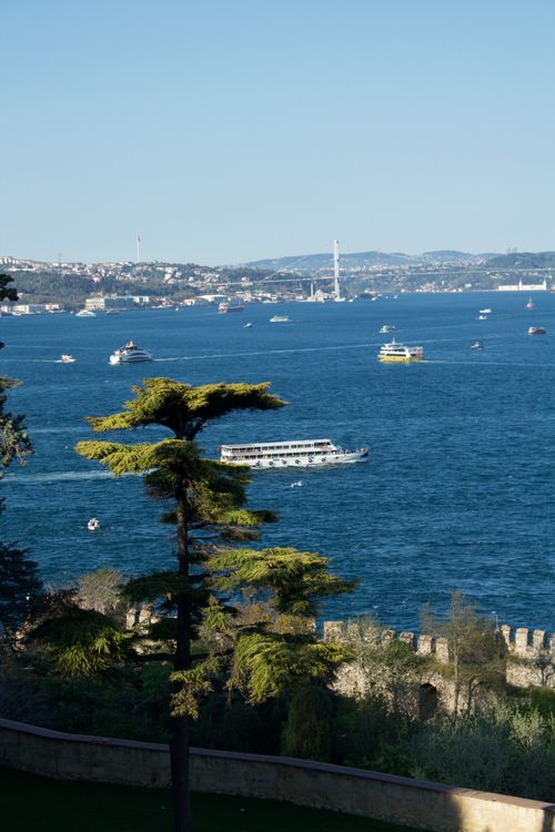 Free A vibrant view of ships sailing through the Bosphorus in Istanbul with lush greenery in the foreground. Stock Photo