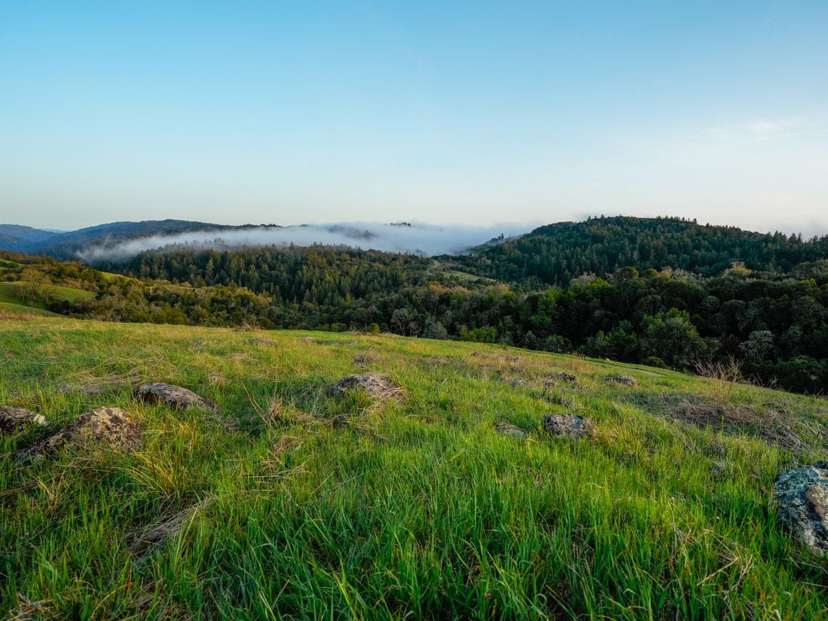 Luxury Fasting Retreats 3