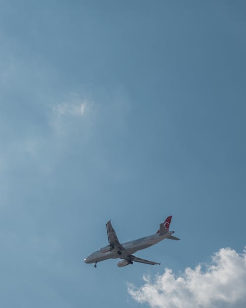 Free stock photo of airplane, city photography, cloud