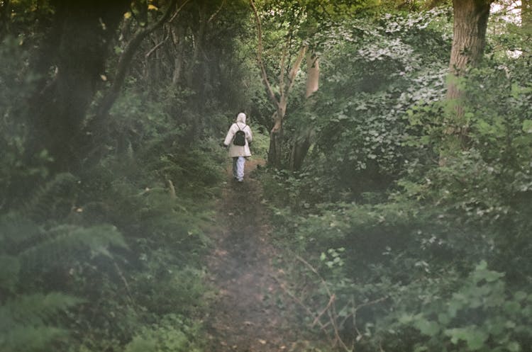 Person In Coat Walking On Path In Forest