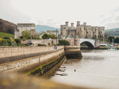 Kostnadsfri bild av befästning, conwy slott, flod