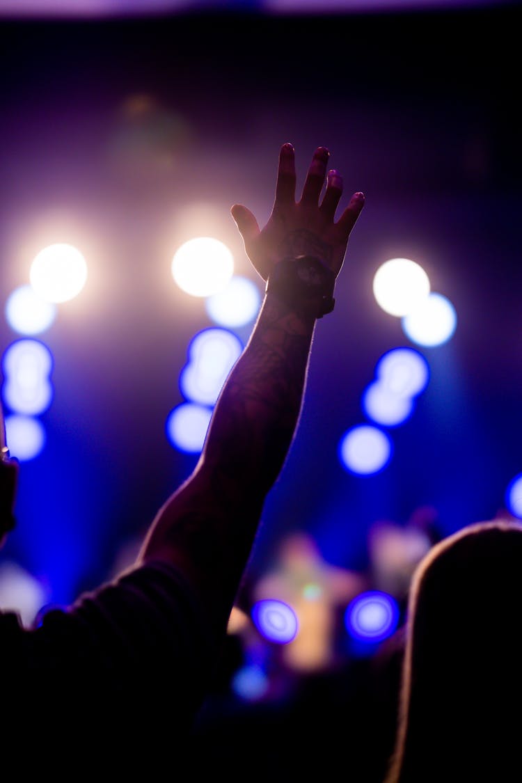 Man Raising Arm During Concert