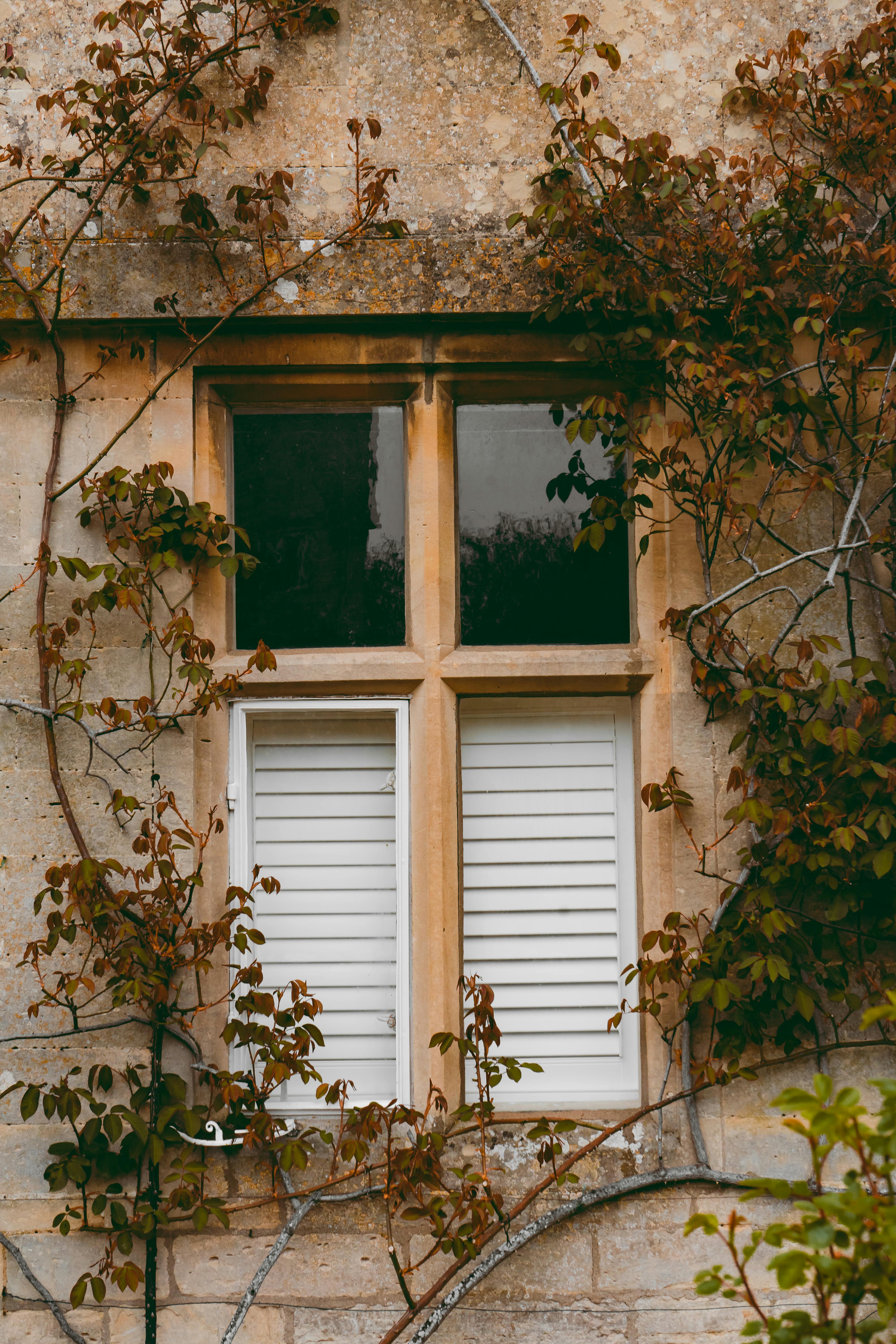 Close-up of a rustic stone wall with ivy climbing around a shuttered window, creating a vintage aesthetic.