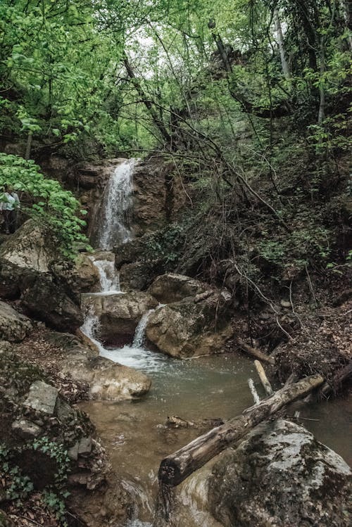 Foto profissional grátis de água, árvores, cachoeira