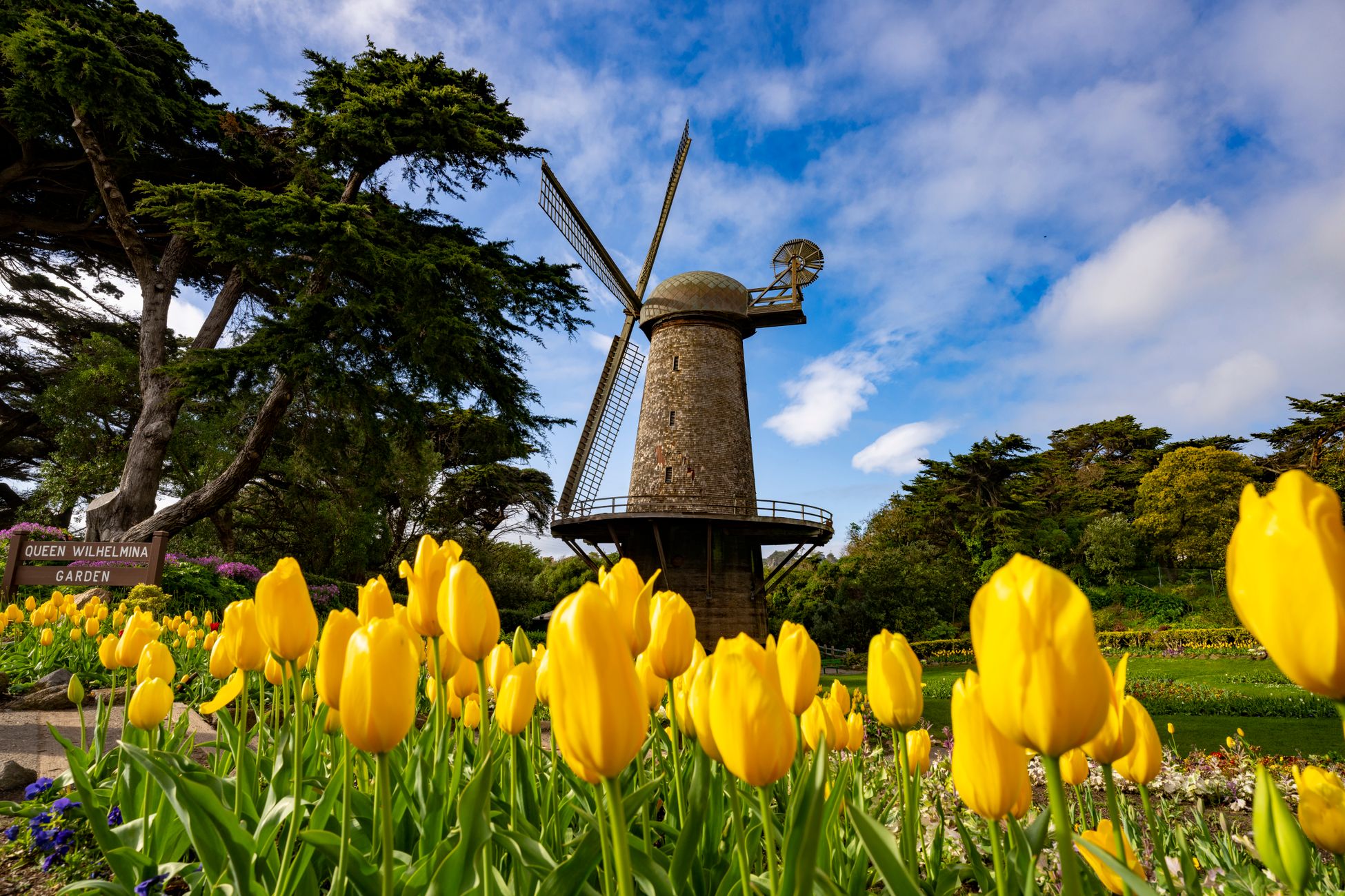 California Public Universities Face Internal Conflict Over AI Integration