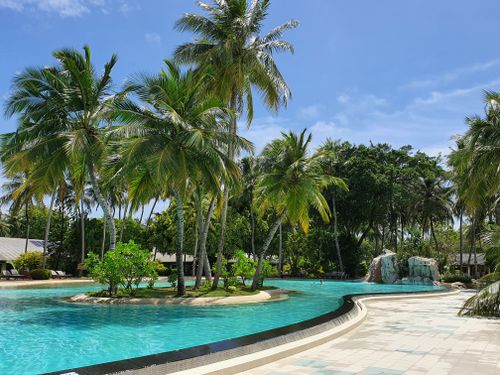 Free A tranquil tropical resort pool surrounded by lush palm trees on a sunny day. Stock Photo