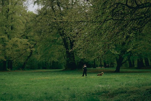 Woman with a Dog in a Park 