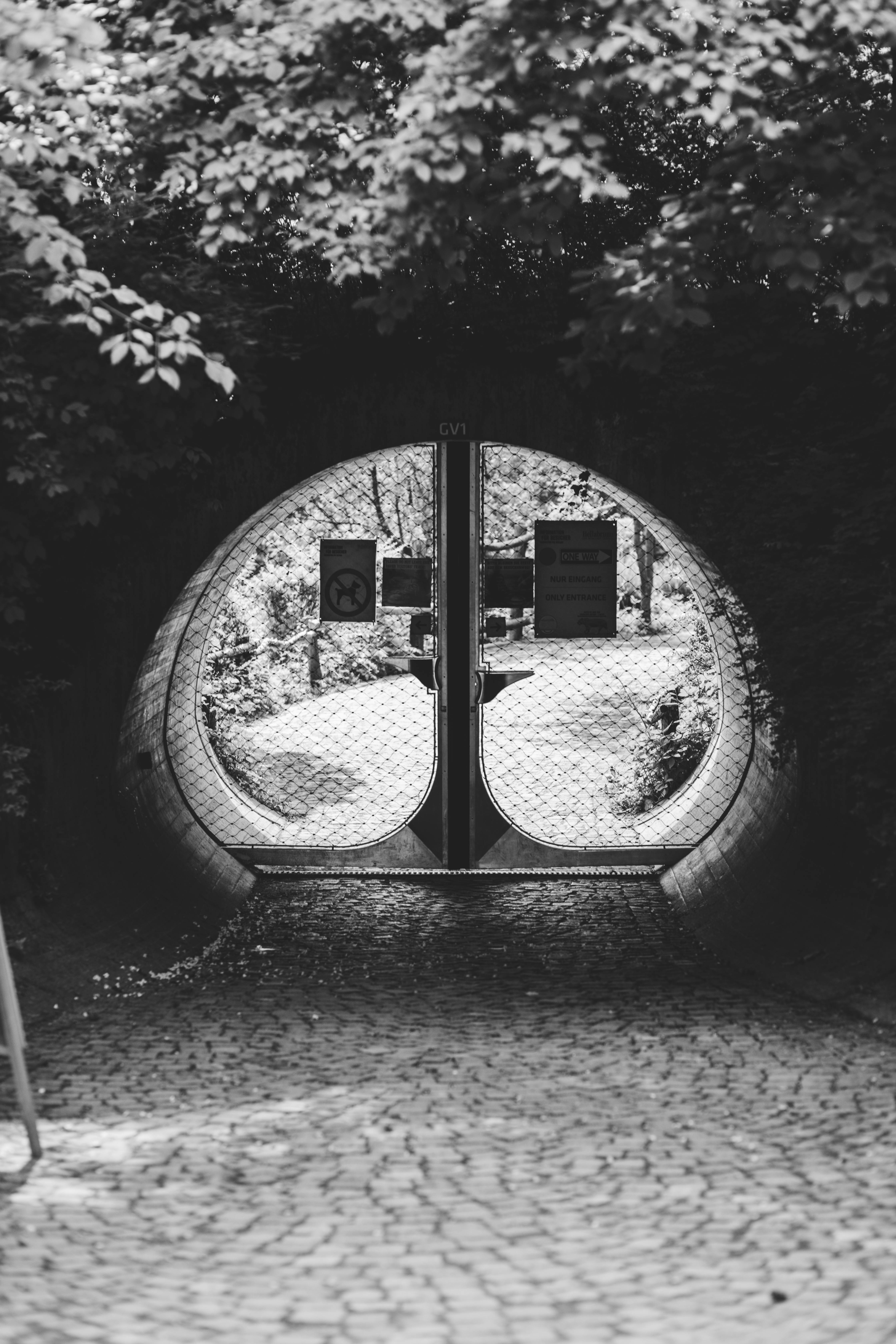 Grădina Zoologică din Pitești, deschisă publicului de Ziua Națională a României