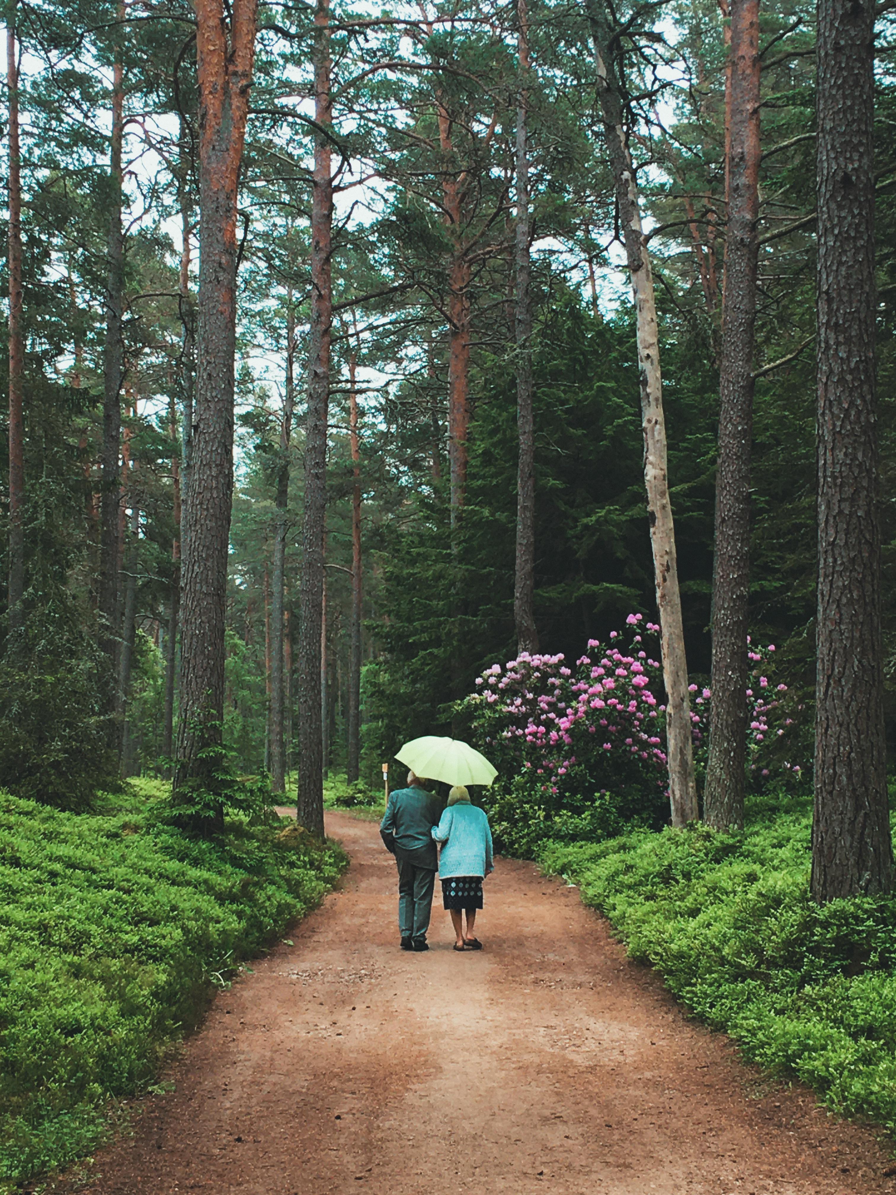 An elderly couple walks with an umbrella through a lush forest pathway, surrounded by tall trees.