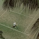 Man Playing Tennis on Grass Court
