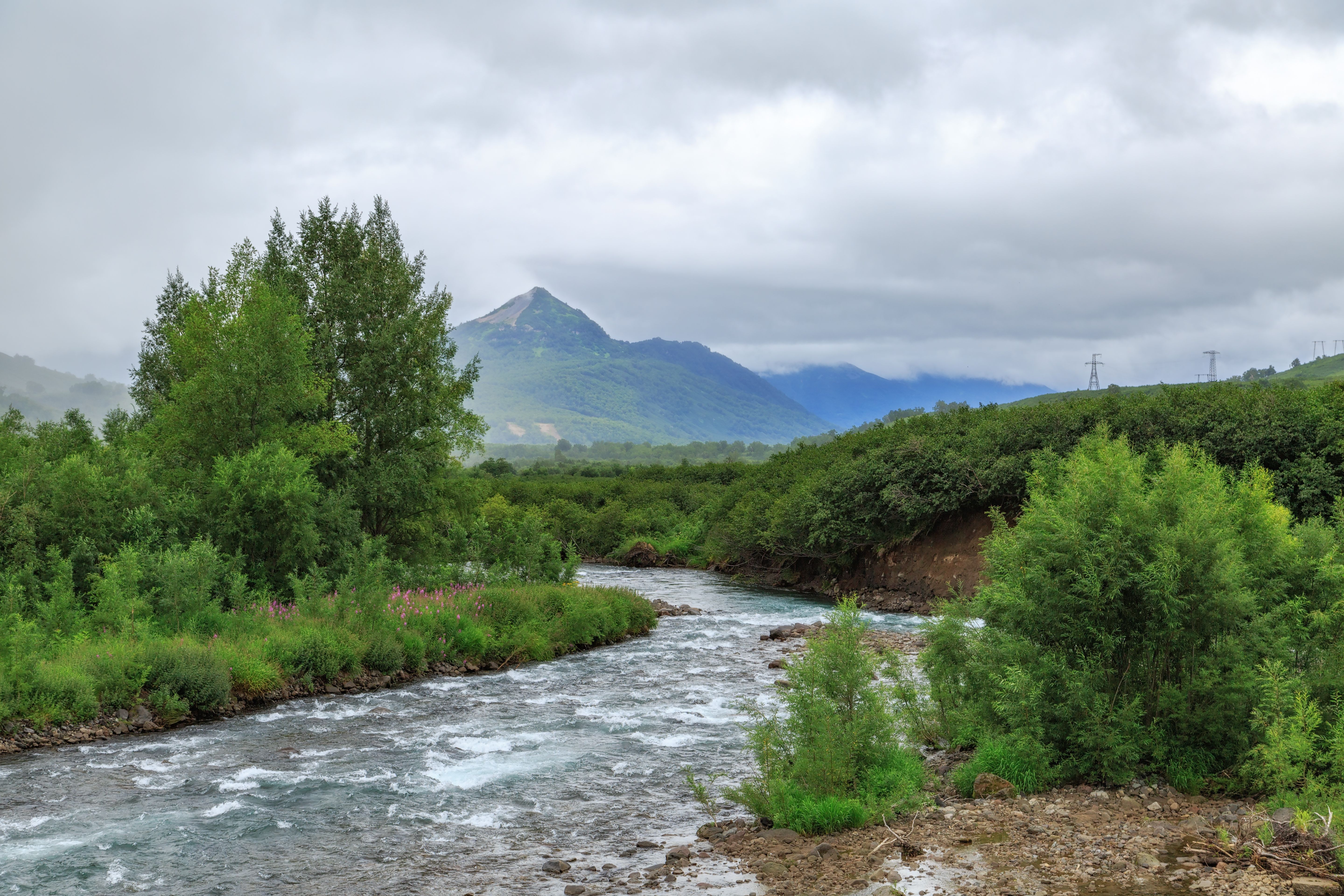Landscape of a River, Green Forest and Mountains in Distance · Free ...