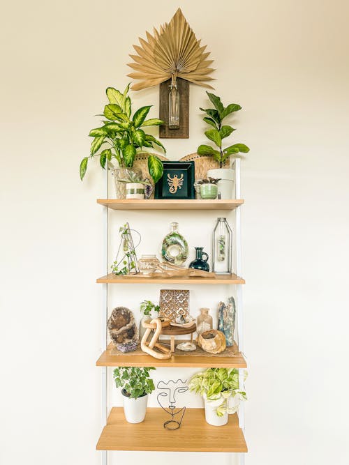 Shelves with Plants and Accessories