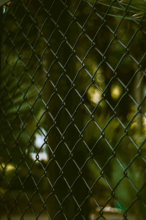 Free Close-up view of a chain link fence with a blurred green park background, creating a patterned effect. Stock Photo