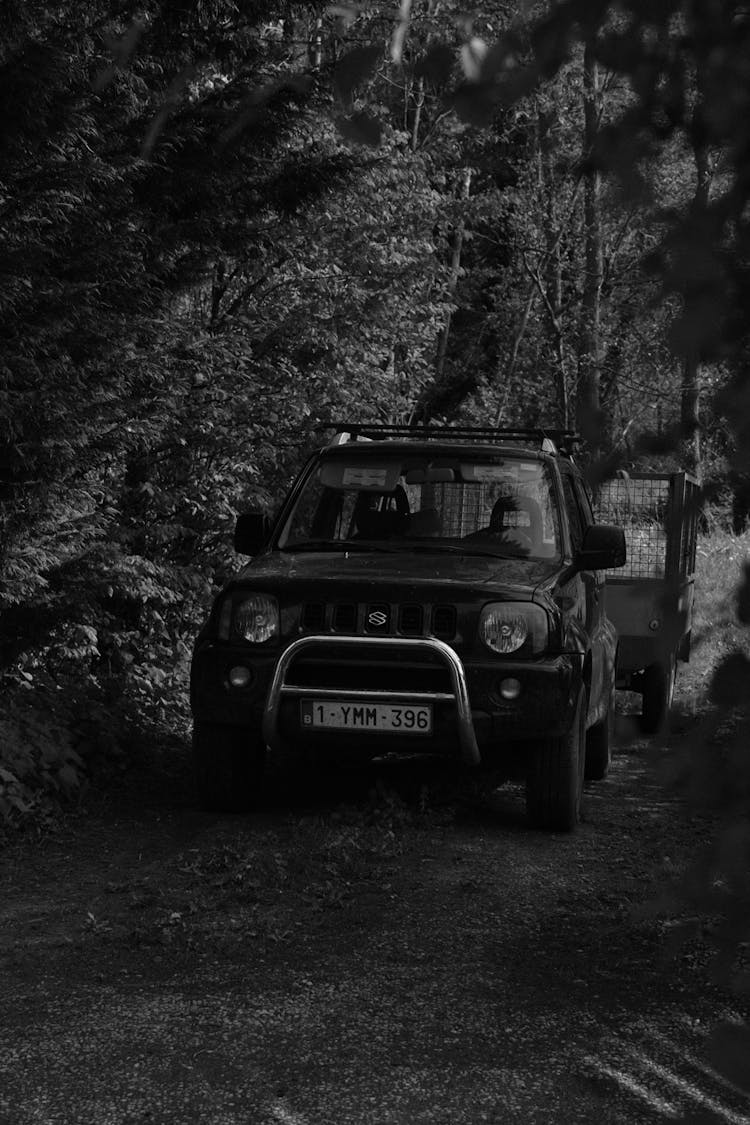 A Car On A Driveway 