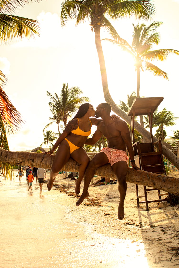 Couple Kissing On Palm Tree On Beach At Sunset