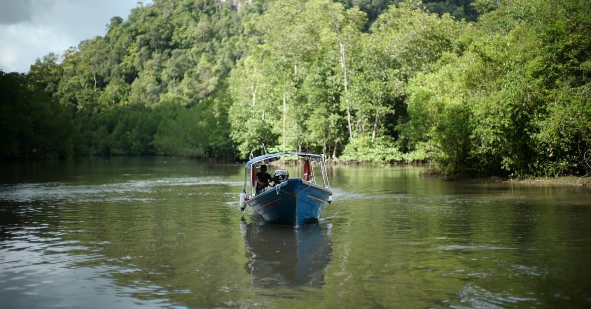 A tranquil boat ride through lush mangroves in Langkawi, Malaysia, reflecting serene nature.