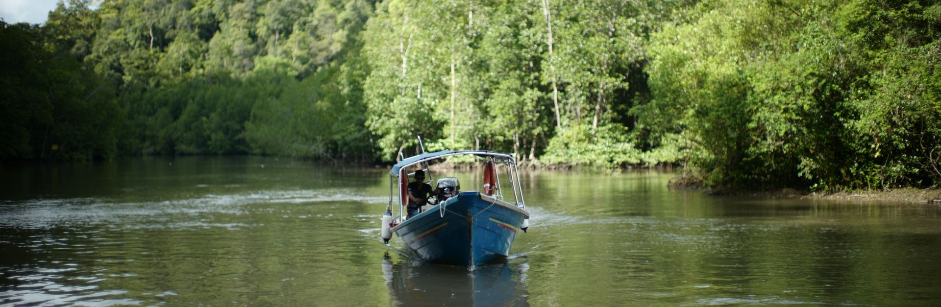 A tranquil boat ride through lush mangroves in Langkawi, Malaysia, reflecting serene nature.