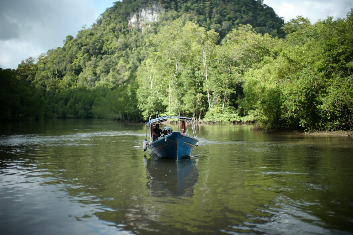 Photos gratuites de arbres, bateau, eau