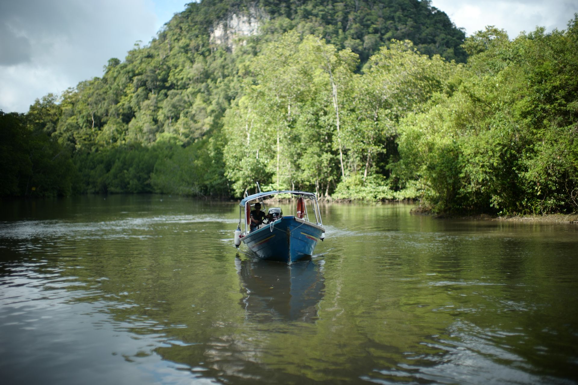 A tranquil boat ride through lush mangroves in Langkawi, Malaysia, reflecting serene nature.