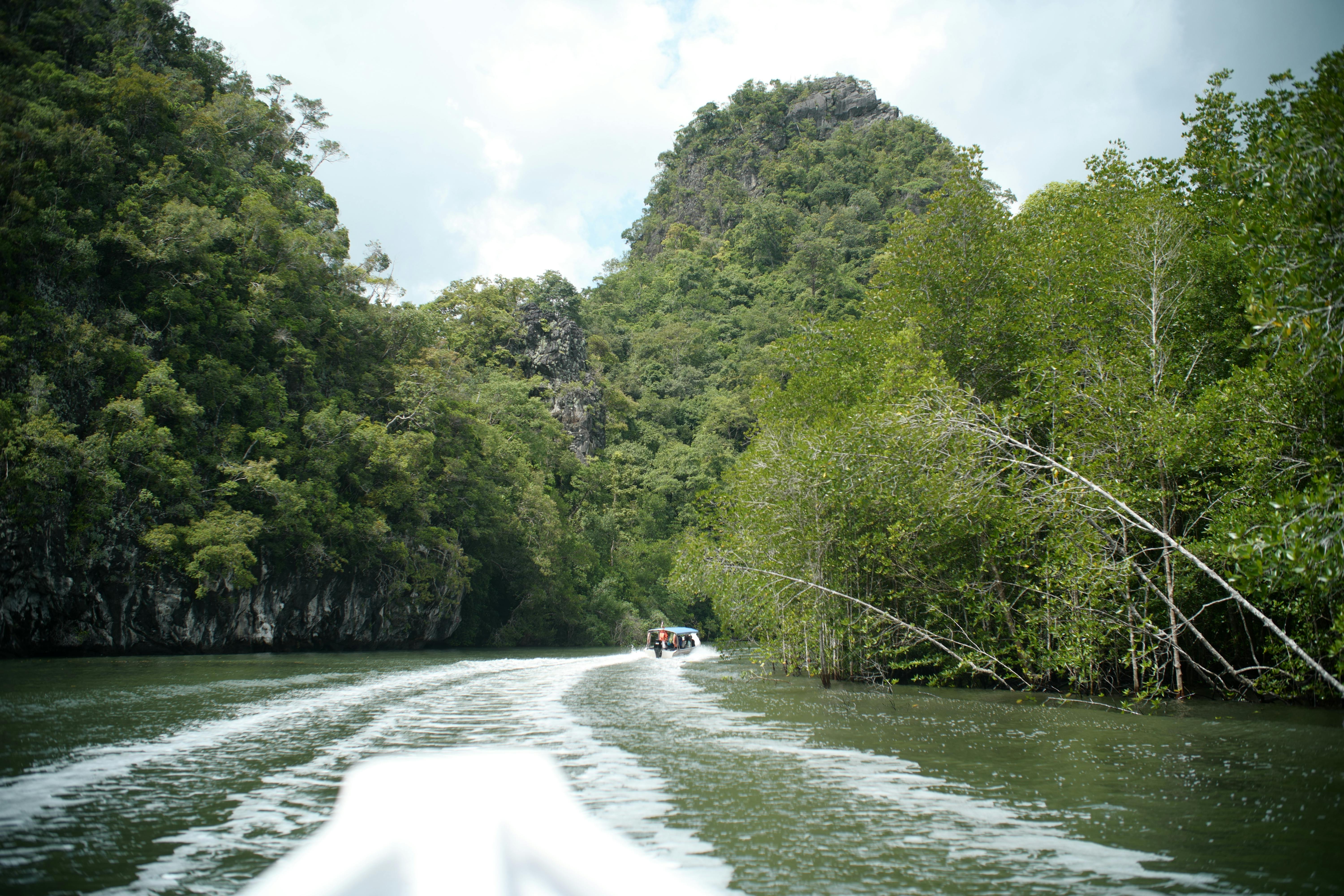 Mangroves Langkawi