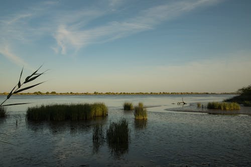 Gratis lagerfoto af landskab, malerisk, morgengry