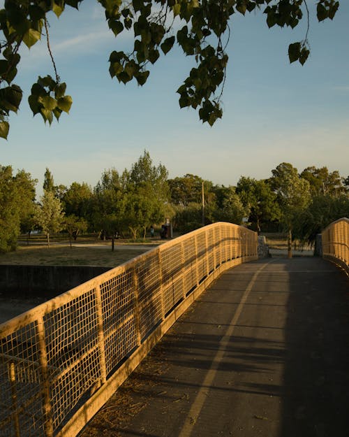 Foto stok gratis cahaya emas, jembatan kaki, jembatan penyeberangan