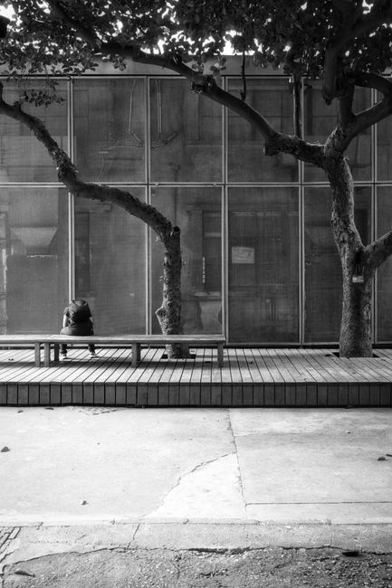 A solitary person sits on a bench amidst urban trees, captured in a black and white photograph.
