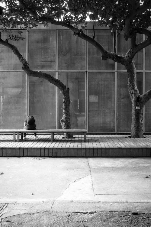 Free Black and White Picture of a Man Sitting on a Bench in City  Stock Photo