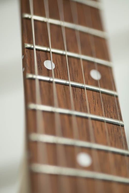 Fretboard in Close Up