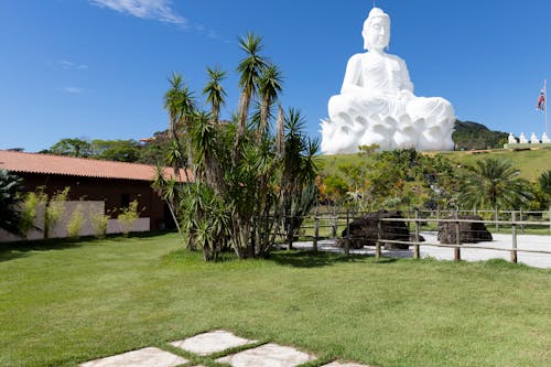 佛寺, 佛教, 冷靜 的 免費圖庫相片