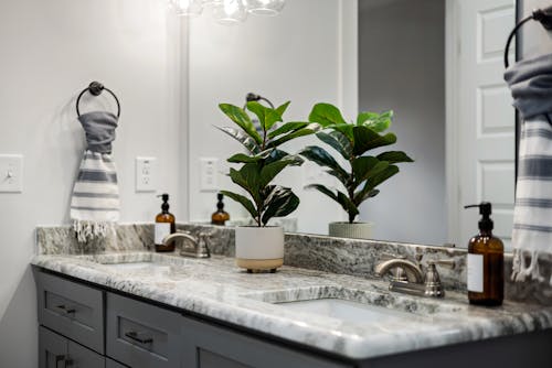 Houseplant on the Counter in a Modern Bathroom 
