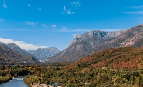 Fotos de stock gratuitas de arboles, bosque, cerros