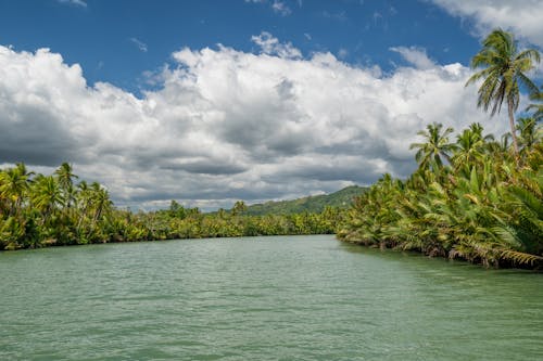 Wide River Flowing Through Tropical Forest