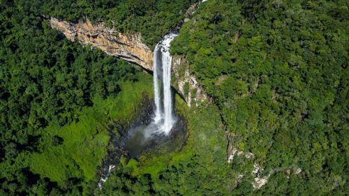 Free Stunning aerial shot of Caracol Waterfall cascading through lush green forest in Brazil. Stock Photo