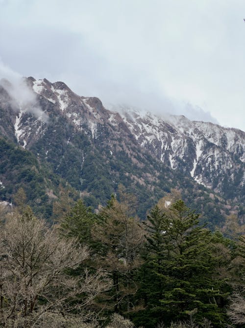 Mountain Range in Winter