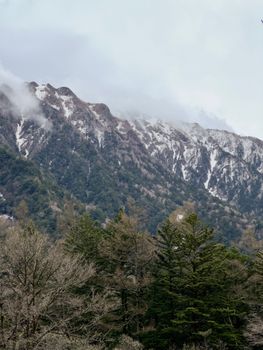 A serene view of a snow-covered mountain range with lush green forest in winter.