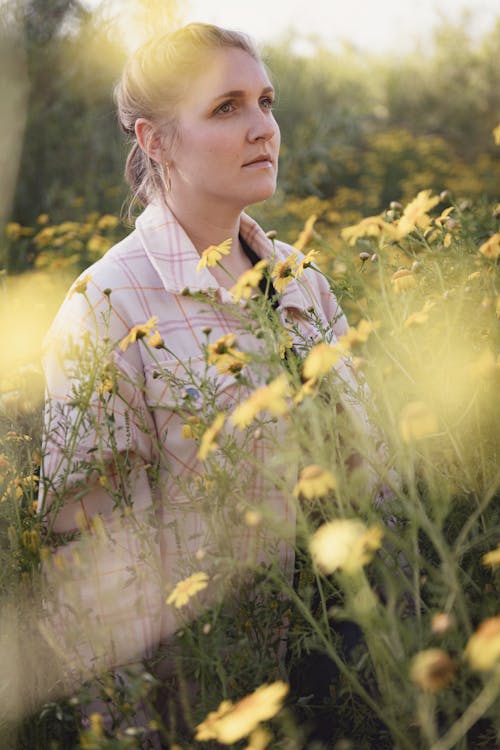 Kostenloses Stock Foto zu außerorts, blond, blumen