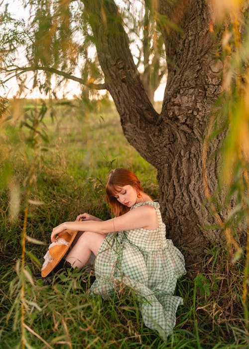 Foto d'estoc gratuïta de arbre, assegut, cabells pèl-roigs
