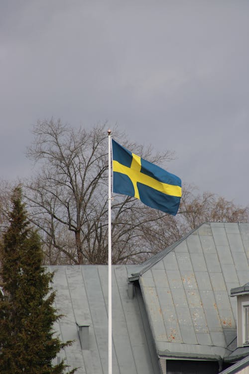 sverige, 旗子, 瑞典 的 免費圖庫相片