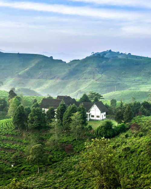 Village in Green Countryside