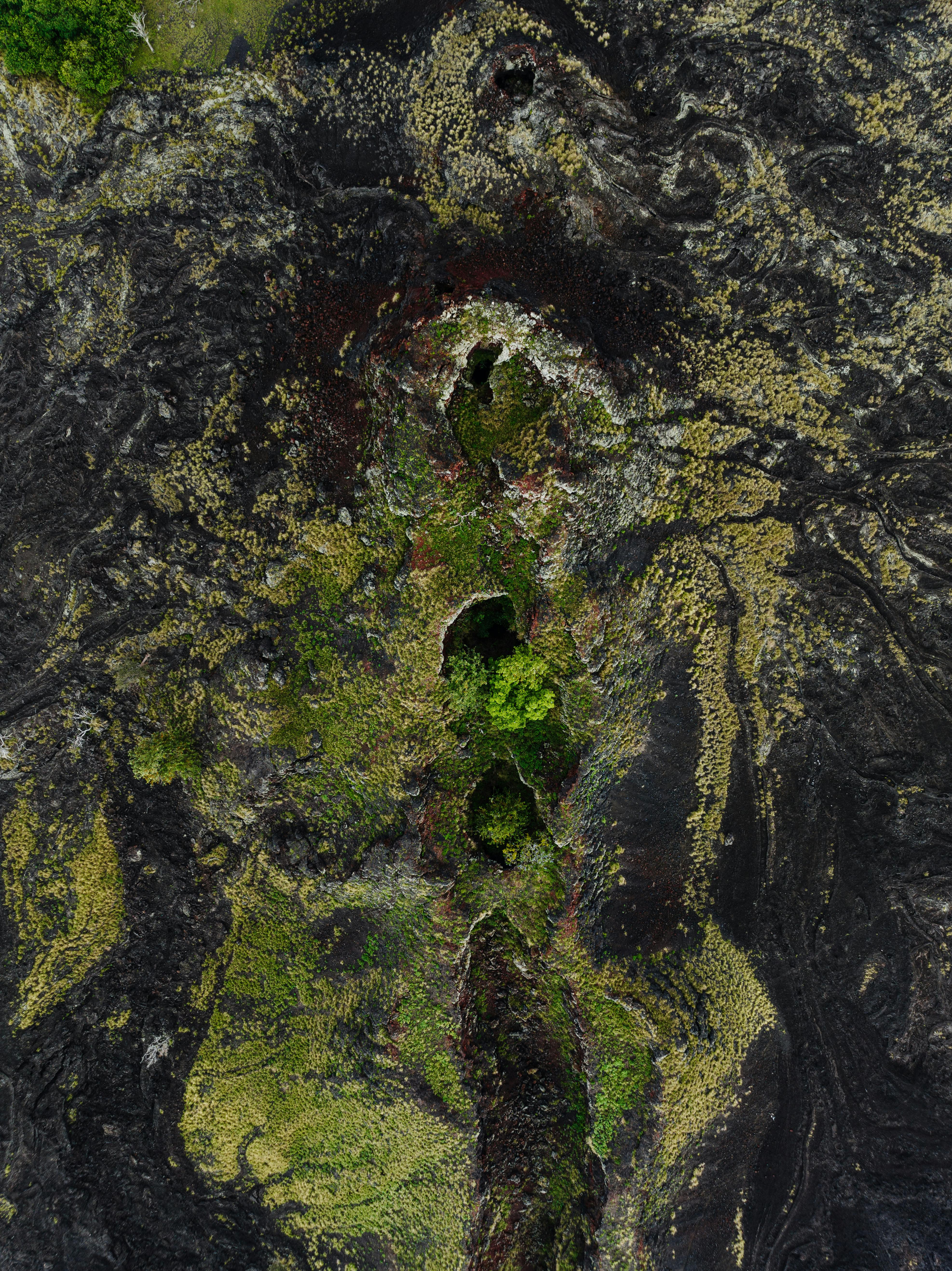 Aerial view of lush greenery growing through volcanic rock in Kailua-Kona, Hawaii.