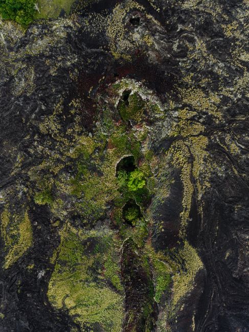 Aerial view of lush greenery growing through volcanic rock in Kailua-Kona, Hawaii.