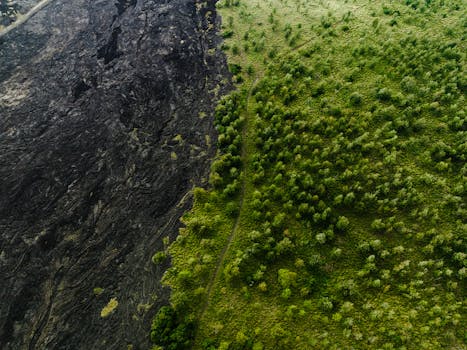 Drone capture of contrasting landscape: fresh lava flow meets vibrant green forest in Hawaii.