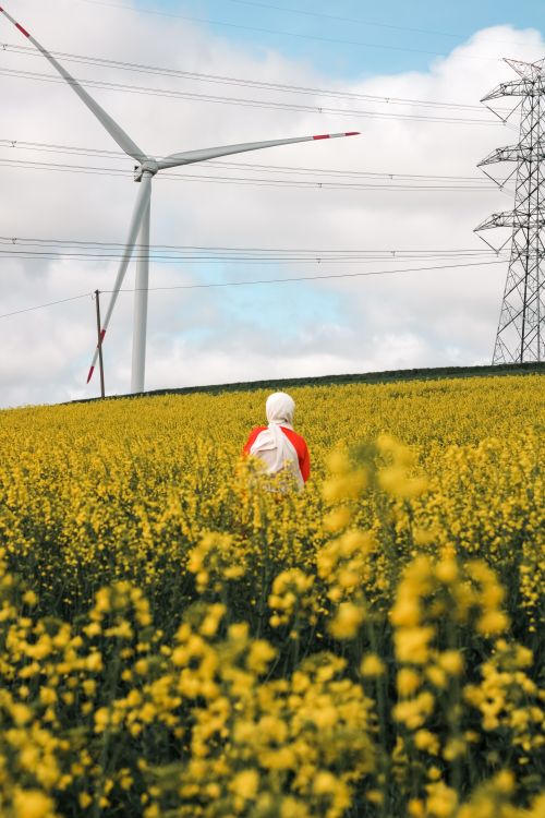 Free A person stands in a field of yellow flowers, with wind turbine and power lines in the background, embodying renewable energy themes. Stock Photo