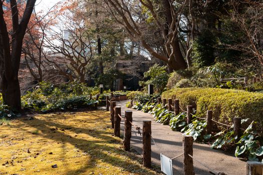 Koishikawa Botanical Garden