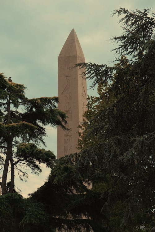 Безкоштовне стокове фото на тему «Будівля, Вашингтон, вертикальні постріл»